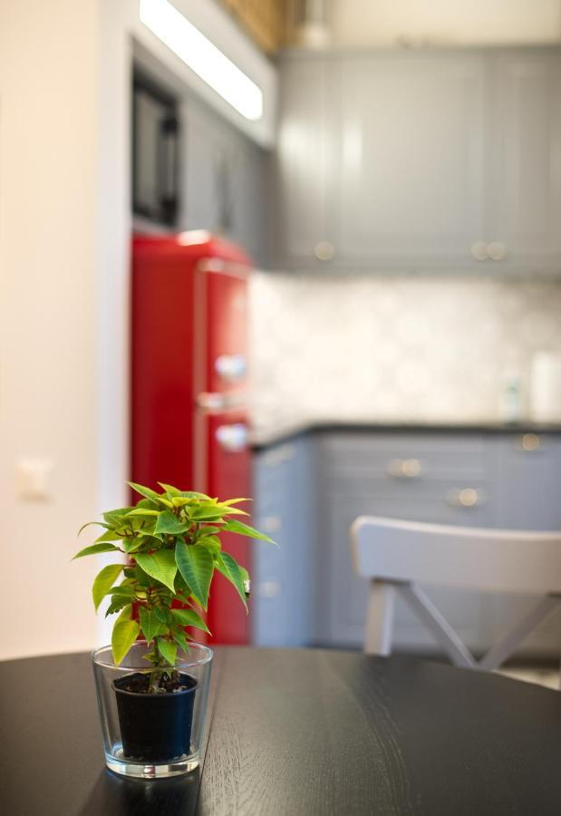 Tiltu 5 Studio Klaipeda Ngoại thất bức ảnh
